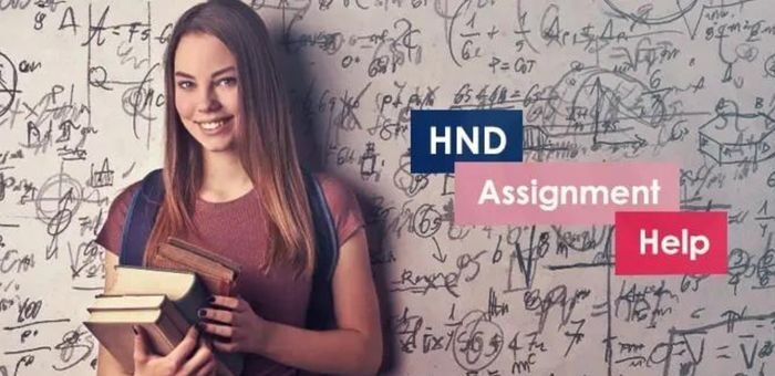 Why do Students Need Cheap HND Assignment Help UK?